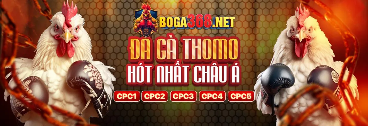 Giao diện ứng dụng di động mb666 và lời kêu gọi hành động